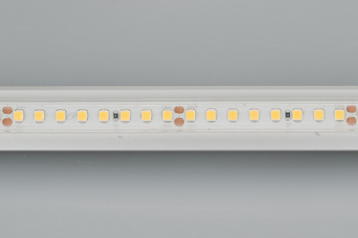 Лента RTW 2-5000PS-50m 24V Day5000 2x (2835, 160 LED/m, LUX) (Arlight, 12 Вт/м, IP67)