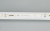 Лента RT-20000 24V White5500 (3528, 60 LED/m, 20m) (Arlight, 4.8 Вт/м, IP20)