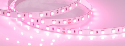 Лента RT 2-5000 24V Pink 2x (5060, 300 LED, LUX) (Arlight, 14.4 Вт/м, IP20)